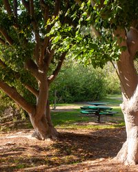 Picnic area