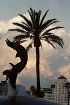 Dolphin fountain