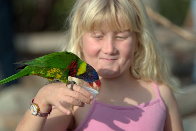 Sara with a lorikeet