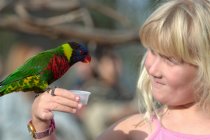 Sara with a lorikeet again
