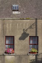 Window Boxes