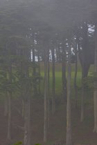 Lincoln Park