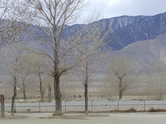 Coso Junction, I