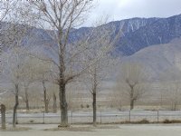 Coso Junction, I