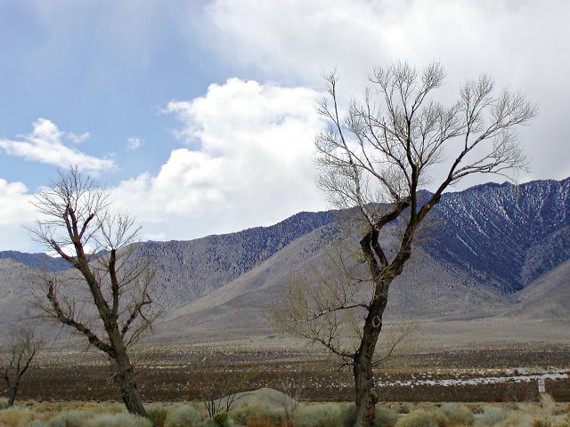 Coso Junction, III