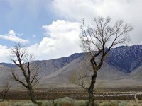 Coso Junction, III