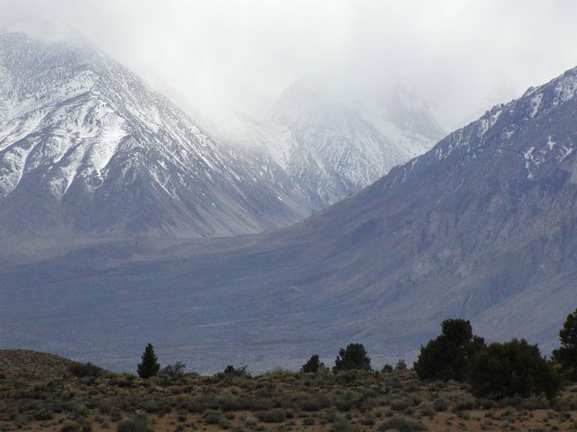 Wheeler Crest Vista