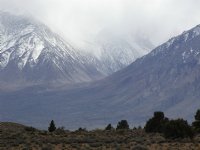 Wheeler Crest Vista