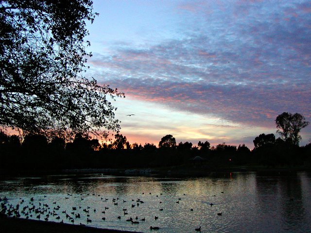 Sunset