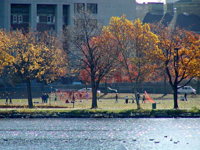 Opposite bank