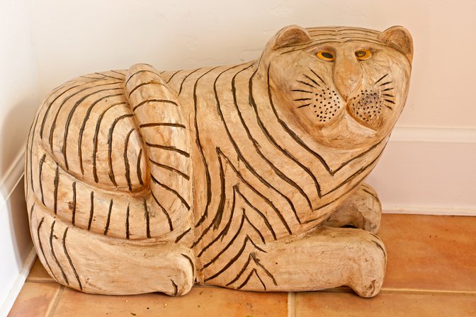 Crosseyed Tiger