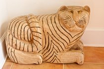 Crosseyed Tiger