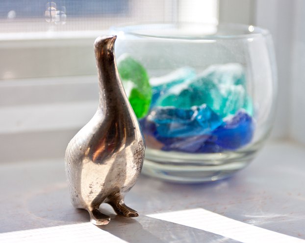 Silver Goose