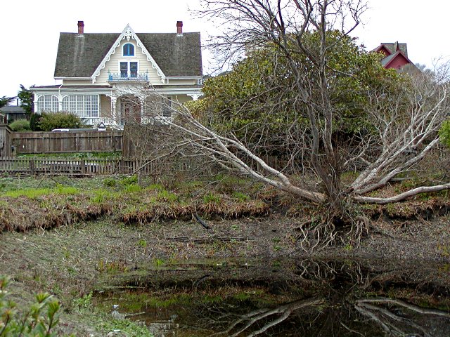 McCallum House