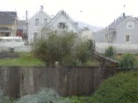 Rainy Window