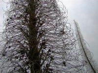 Towers of Jewels