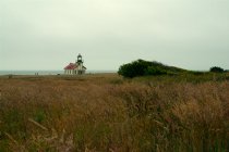 Lighthouse III
