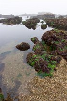 Glass Beach