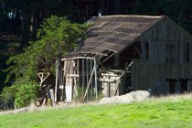 Call Barn