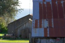 Call Barn