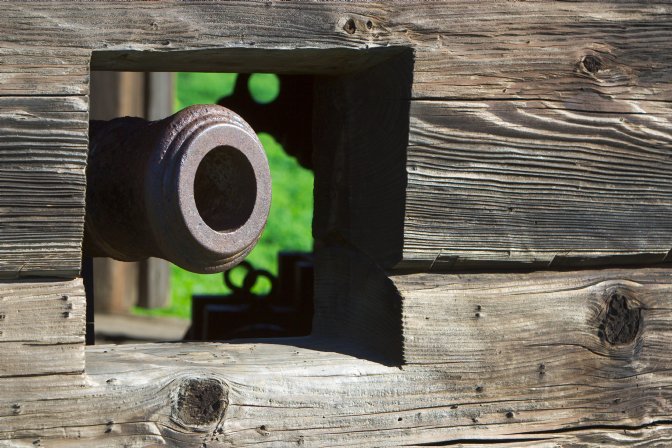 Cannon