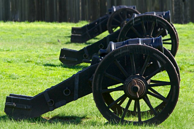 Cannon