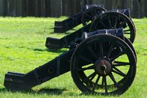 Cannon
