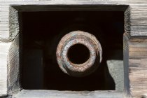 Cannon