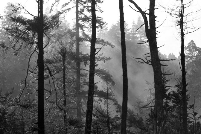 I, B/W
