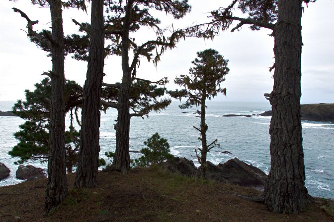 South Headlands