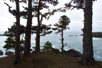 South Headlands