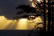 Godbeams over the water