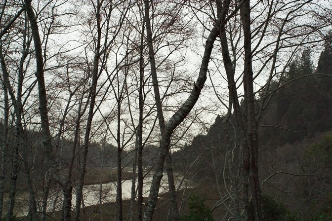 River View, III
