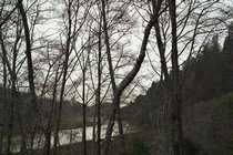 River View, III