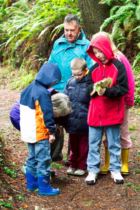 Examining Nature