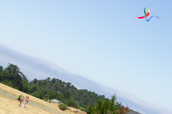 Kite, I