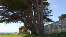 Lighthouse From Cottages