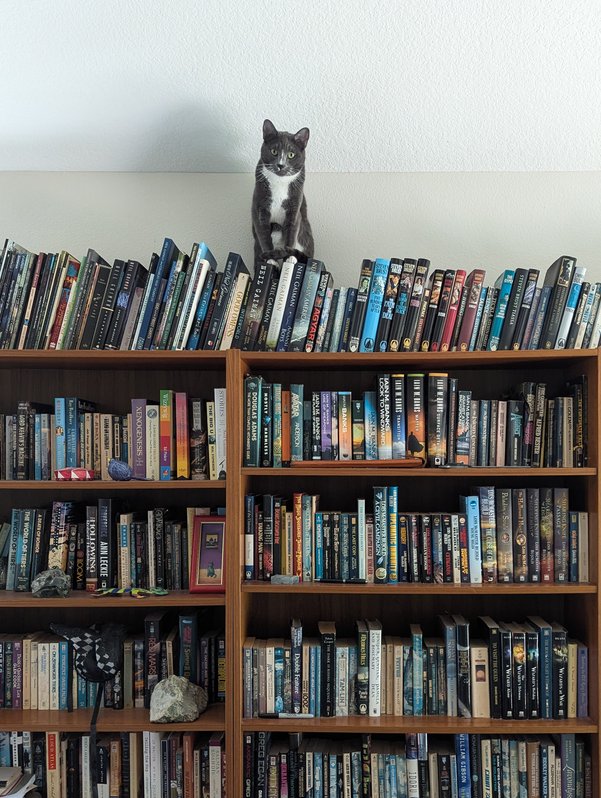 Bookshelf