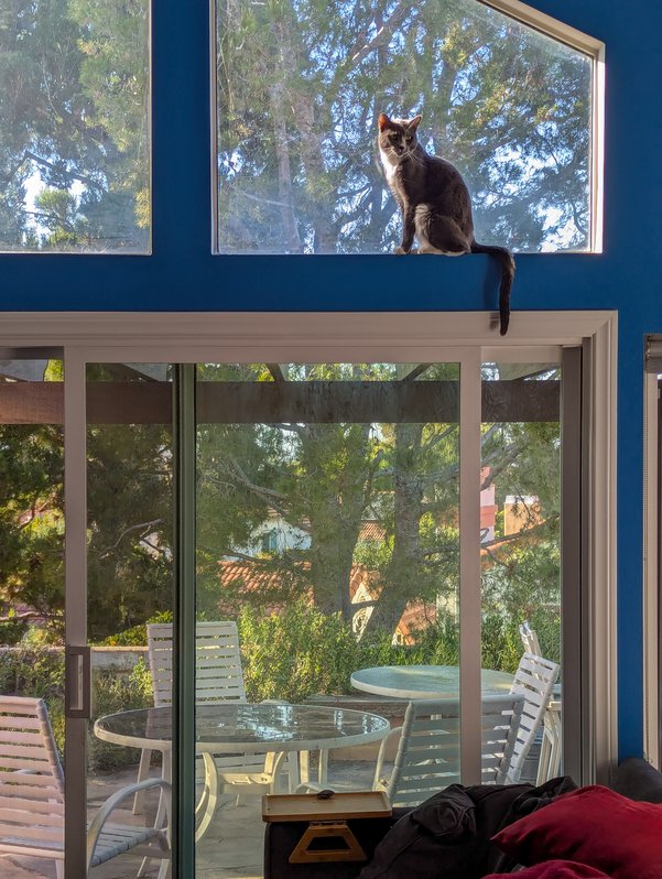 Patio Door