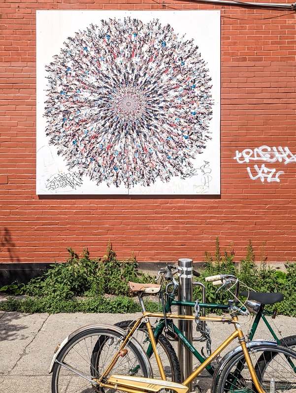 Bicycle Dandelion