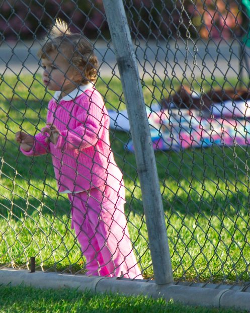 Young Spectator