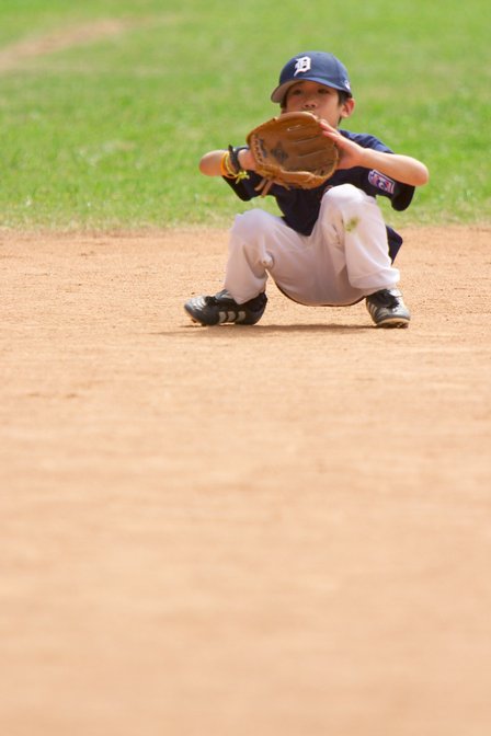 Tiger Fielding