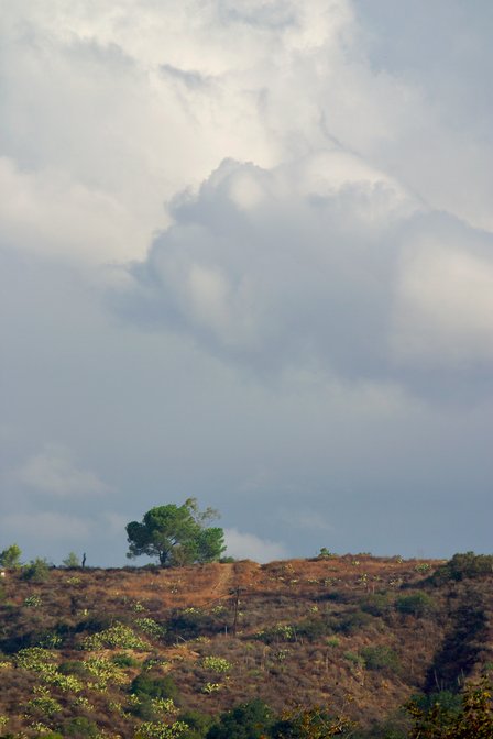Ridgeline