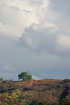 Ridgeline