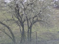 Above Booneville