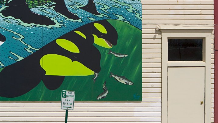 Parking for Orcas