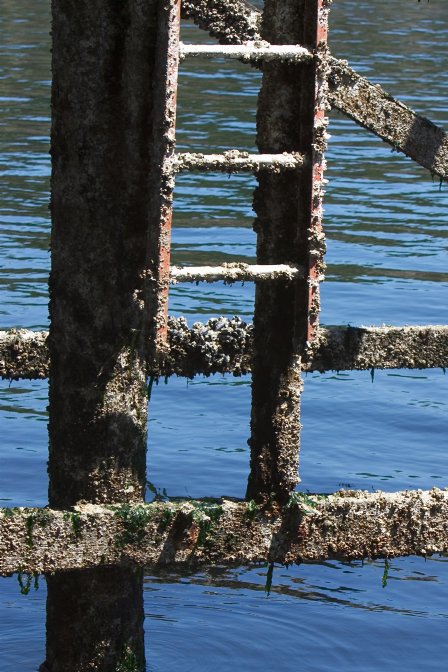 Dock ladder
