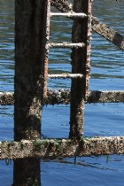 Dock ladder