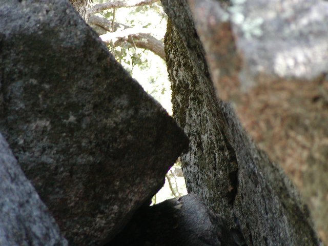 Mossy rock angles