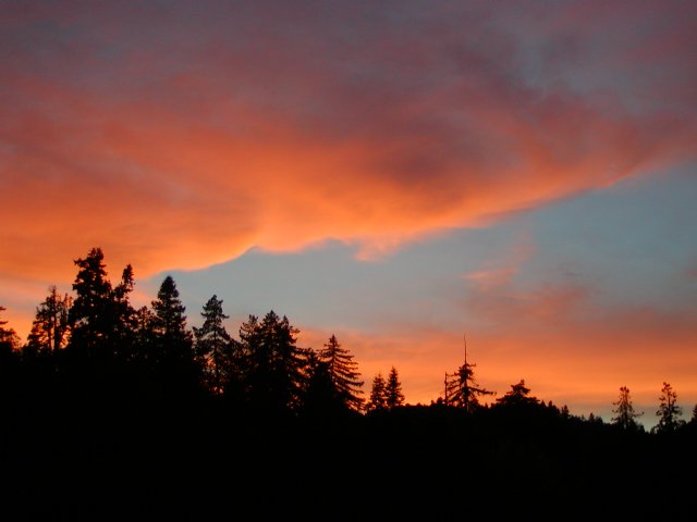 Palomar Sunset VI